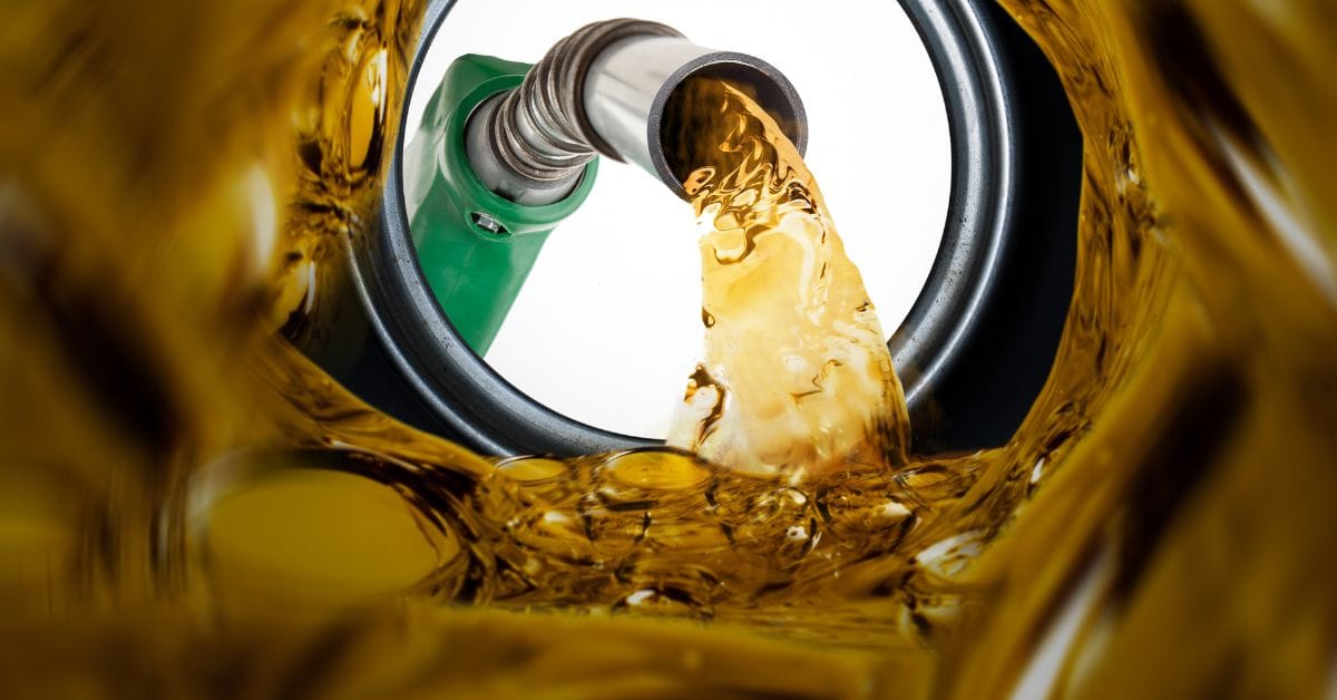 IMAGEM-2023-12-07T151210.117-1